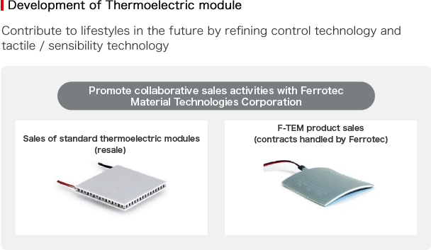 Development of Thermoelectric module