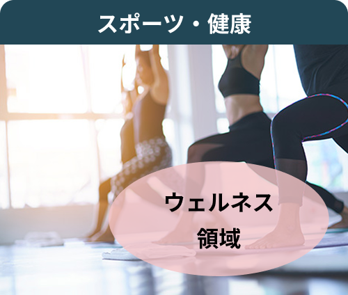 スポーツ ウェルネス領域